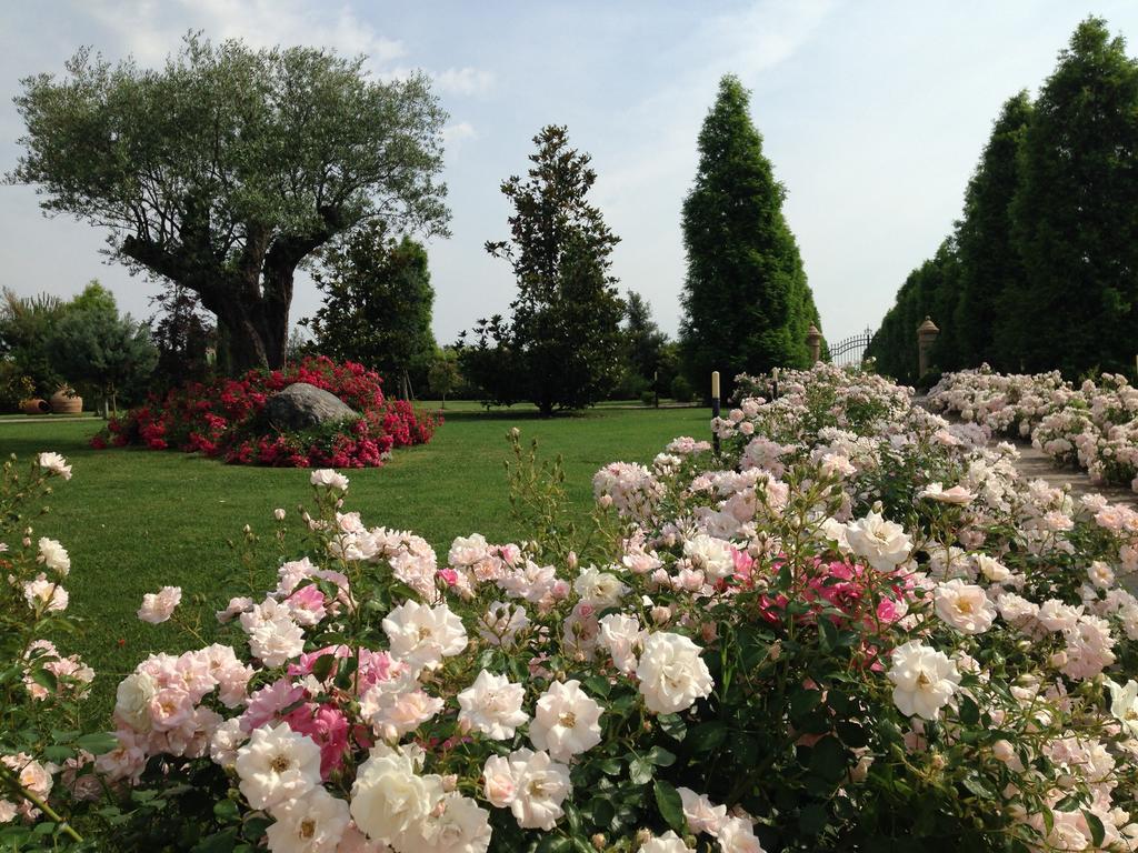 卡泰维托莫顿韦德塔住宿加早餐旅馆住宿加早餐旅馆 外观 照片